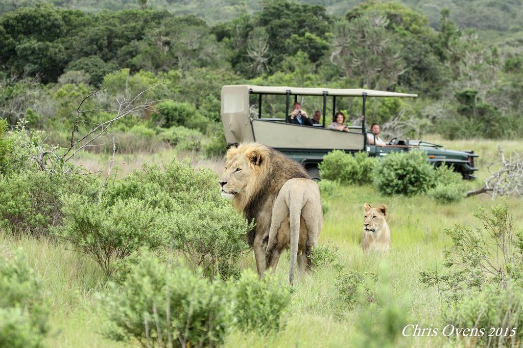 Sibuya Game Reserve And Lodge Kenton on Sea Exterior photo